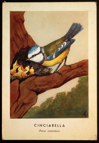 Cart 3213 cartolina illustrata - cartolina,