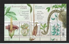 Belgio Blocco 180 Piante **