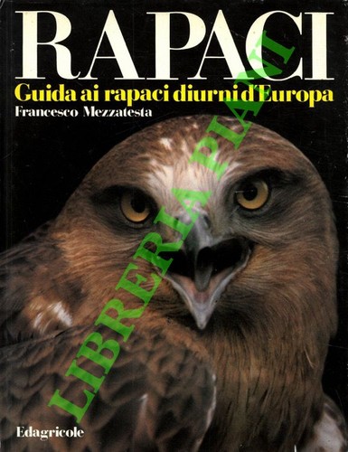 Mezzatesta francesco rapaci - mezzatesta,