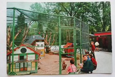 PEDAVENA  BIRRERIA PEDAVENA  CARTOLINA D'EPOCA  1966