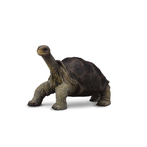Collecta pinta island - pinta,