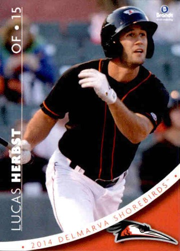 2014 delmarva shorebirds - 2014,