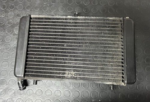 Radiatore aprilia 125 - rs,