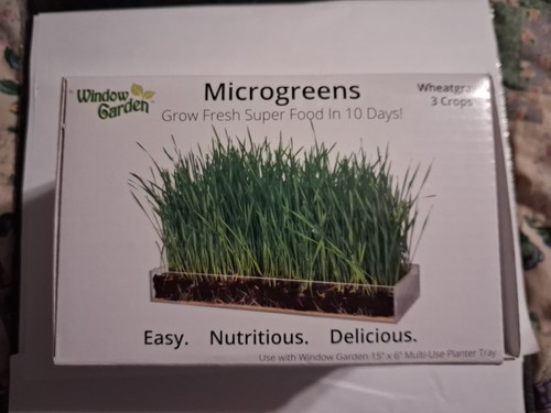 Kit coltivazione microgreens - kit,