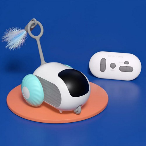 Turbo tail cat - turbo, 2024