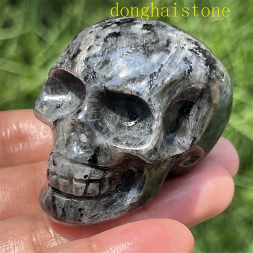 Teschio intagliato spettrolite