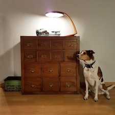 CASSETTIERA ETNICA COLONIALE