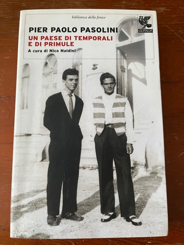 Pier paolo pasolini - paolo, paese