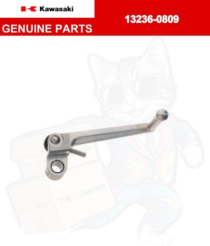 Kawasaki 2019 2024 leva cambio - 2019-2024,