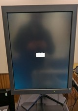 Eizo radiforce gs320 monitor - gs320,