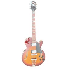 IYV IJZ-300 Semi-Hollow