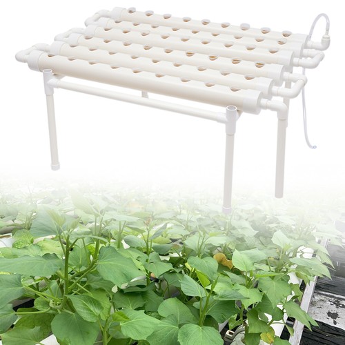Hydroponic grow kit - hydroponic, plant