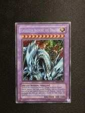 cavaliere signore dei draghi