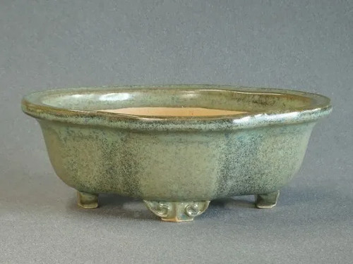 Vaso per bonsai giapponese