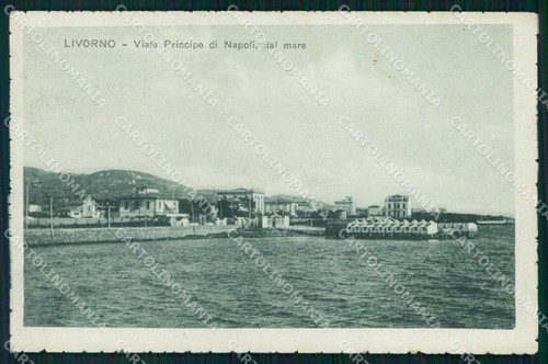 Livorno città viale principe - città,