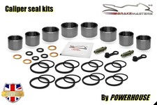 Kit revisione pinza freno
