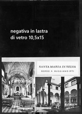 BORGO A BUCCIANO - PISTOIA - NEGATIVA IN LASTRA DI VETRO E CARTOLINA