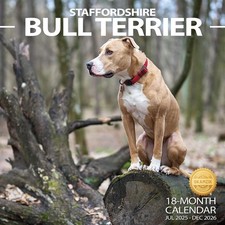 2025-2026 Calendario da Parete