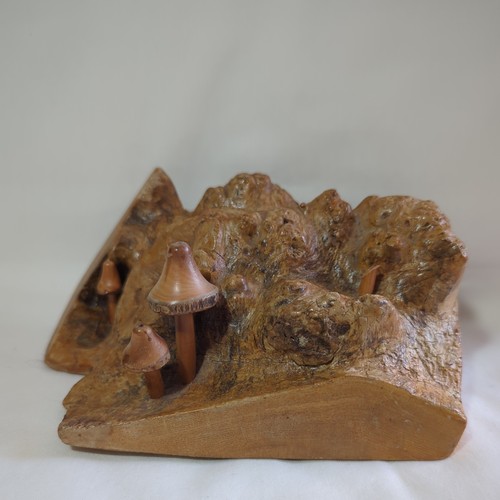 Scultura funghi radice teak - di,