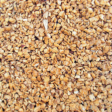 NOCCIOLINO DI OLIVO 25KG