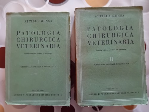 Attilio mensa patologia - attilio,
