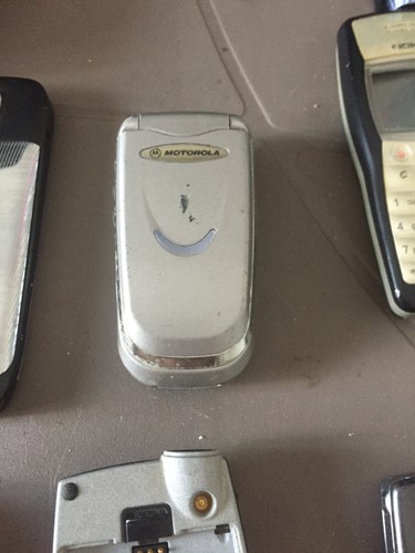 D4080nn cellulare motorola v51 - motorola,