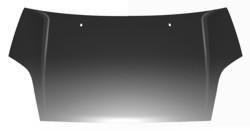 Cofano ant ford - cofano,