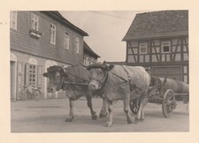 B -  Foto Photo Fotografia