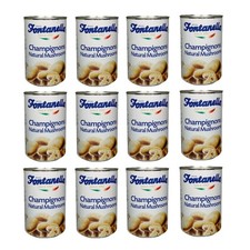 Fontanella funghi champignons 500 Gr. - Cartone 12 Pezzi