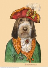 Petit Basset Griffon Vedeen A3