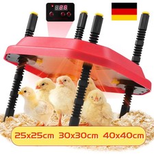 Piastra Termica con Termostato