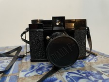 Retro diana fotocamera e - retro, f+