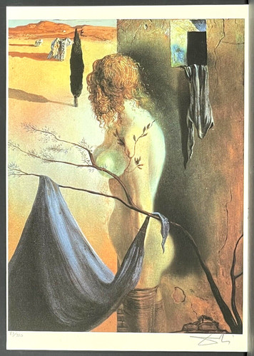 Salvador dali the - salvador,