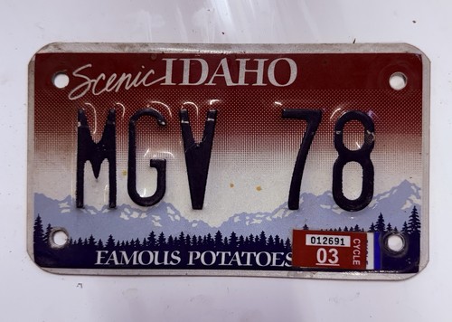 American license plate man - plate,