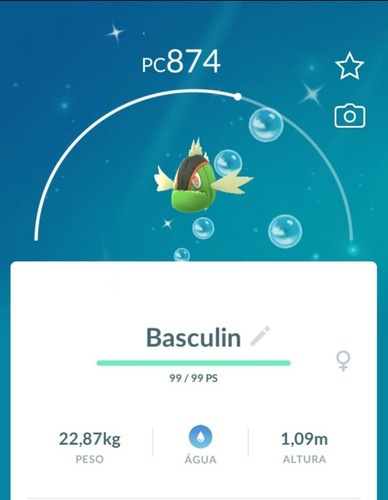 Pokemon righe rosse lucide - pokemon,