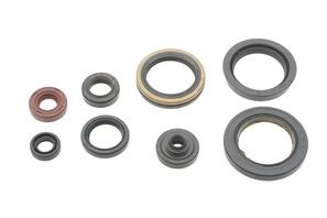 Nrteam paraolio motore - paraolio, (kit)