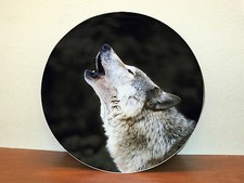 Copriruota scorta wolf - copriruota, di