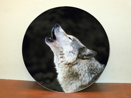 Copriruota scorta wolf - scorta,