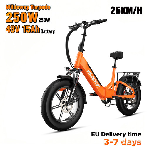 Bicicletta elettrica wildeway - elettrica,