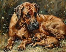 Rhodesian Ridgeback and Puppy