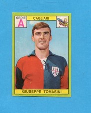 PANINI CALCIATORI