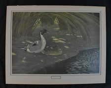 Vtg. Robert Verity Clem