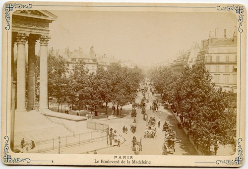 Carrozze cavallo viale - a,