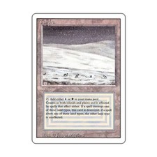 WotC MtG 3rd Ed Tundra (R)