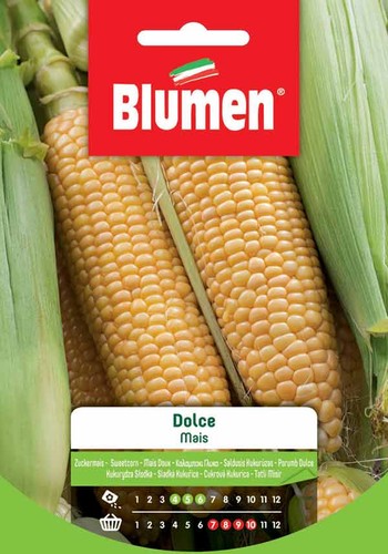 Blumen semi mais dolce - semi, di