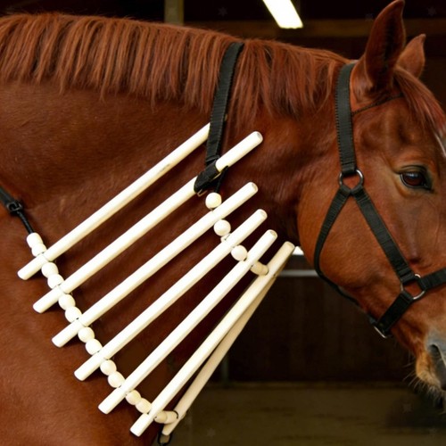 Culla per collo del cavallo - il,