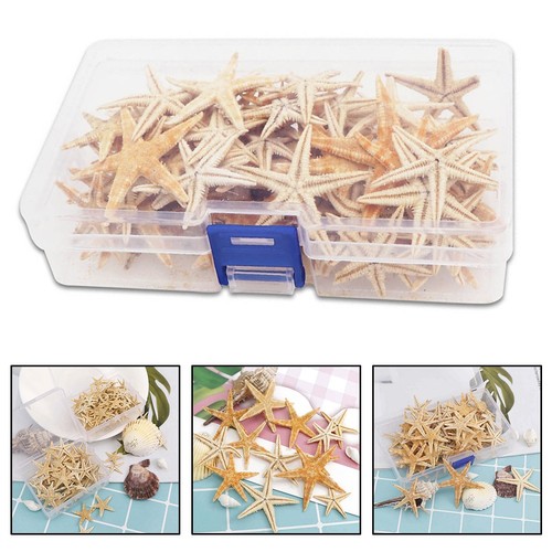 Set 100 pezzi stelle - 20/50/100,