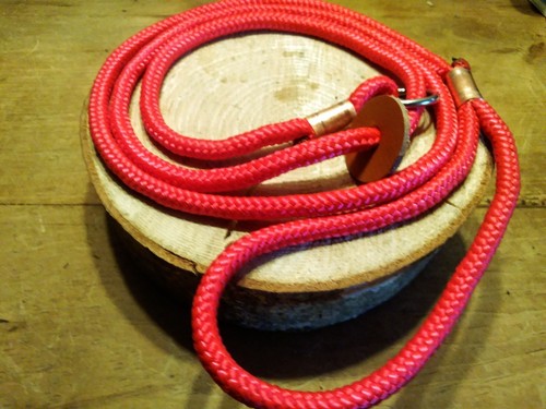 Guinzaglio antiscivolo per