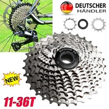 10 scomparti 11-42T Mountain