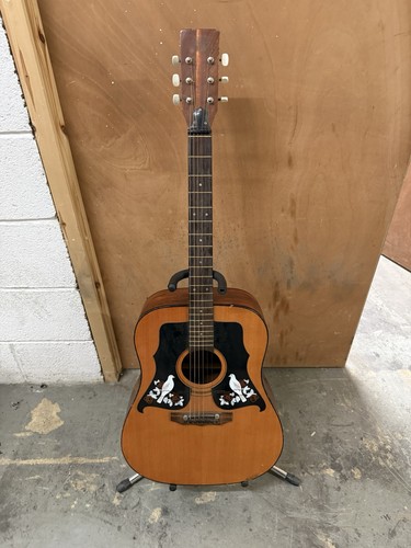Chitarra acustica kay 550 dove - chitarra,